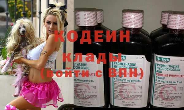 СК Бронницы