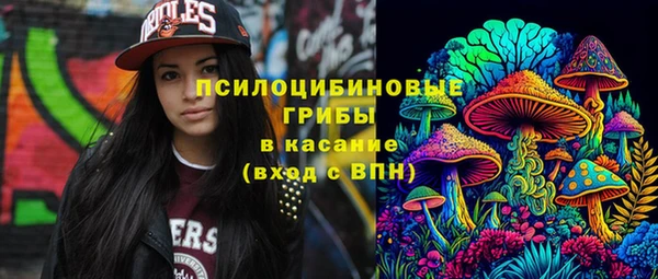 амф Богородицк