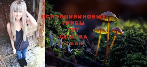 кокаин Богданович