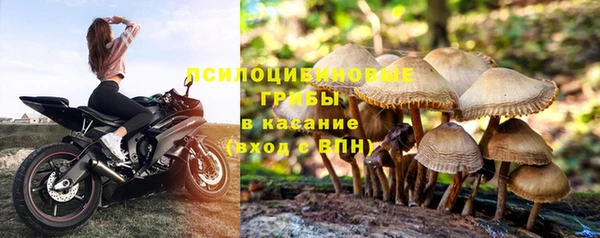 амф Богородицк