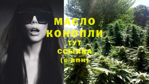 соль ск Бородино